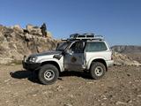 Nissan Safari 1998 года за 5 500 000 тг. в Шымкент – фото 2
