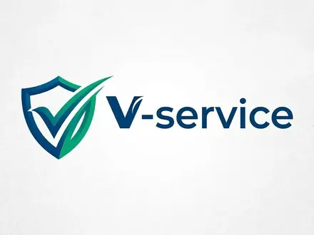 V-service в Алматы