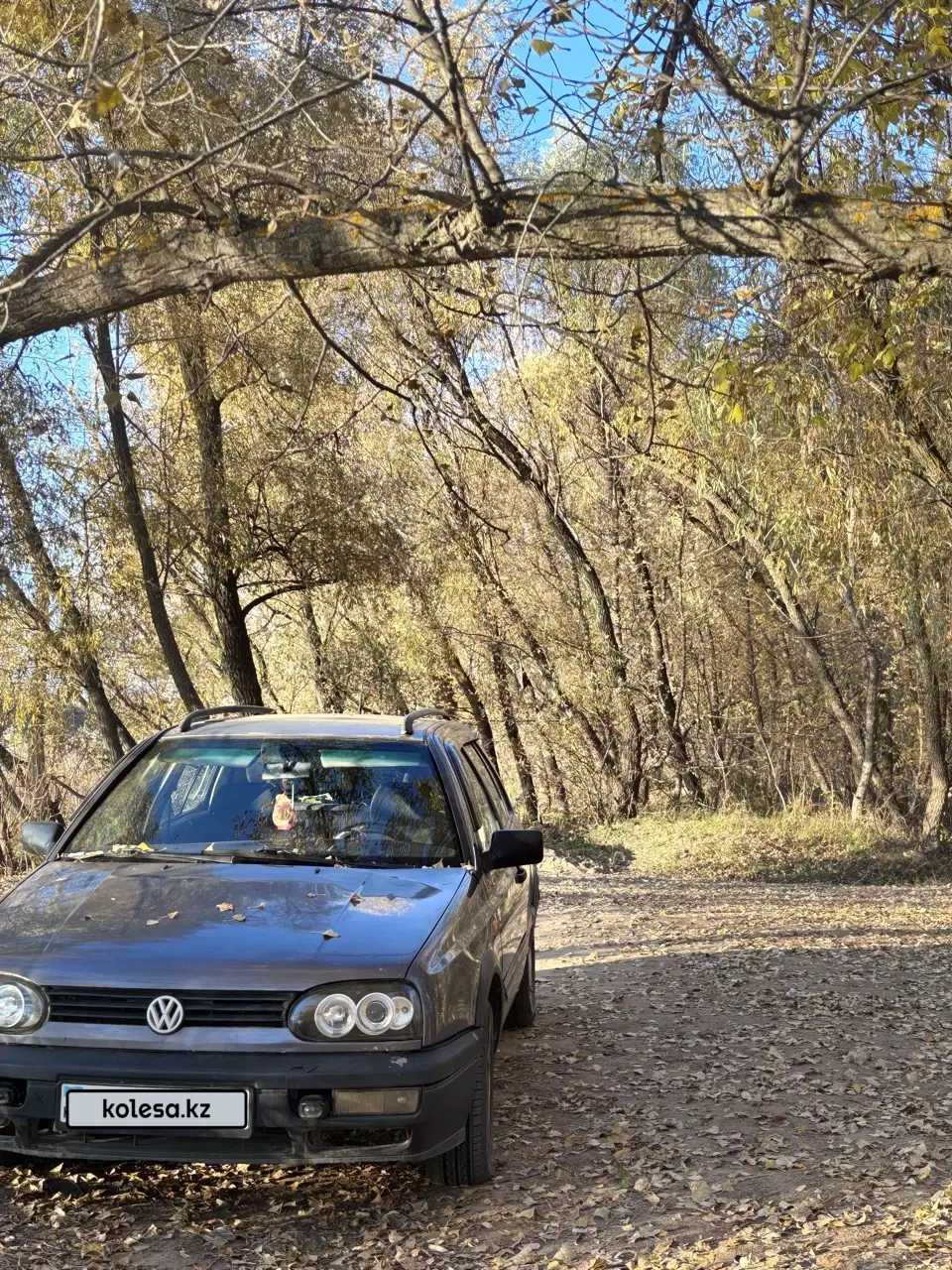 Volkswagen Golf, 1993