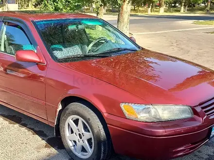 Toyota Camry 1998 года за 3 200 000 тг. в Тараз