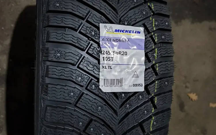 Шины Michelin 245/50/r20 Xice North4 за 260 000 тг. в Алматы