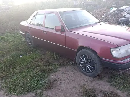 Mercedes-Benz E 200 1992 года за 1 400 000 тг. в Павлодар – фото 4