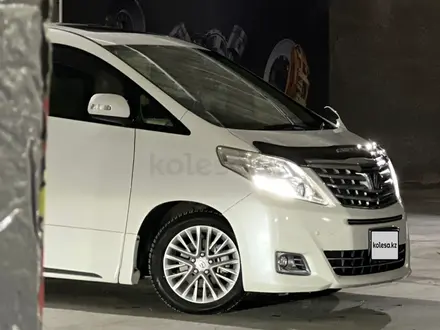 Toyota Alphard 2010 года за 14 500 000 тг. в Тараз – фото 3