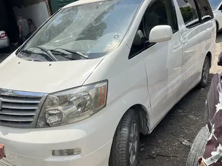 Toyota Alphard 2004 года за 6 500 000 тг. в Шымкент