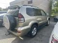 Toyota Land Cruiser Prado 2005 года за 8 900 000 тг. в Павлодар – фото 5