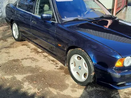 BMW 525 1995 года за 2 700 000 тг. в Павлодар – фото 4