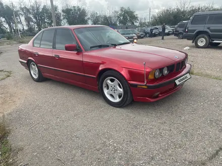 BMW 525 1993 годаүшін2 500 000 тг. в Сарыозек – фото 2