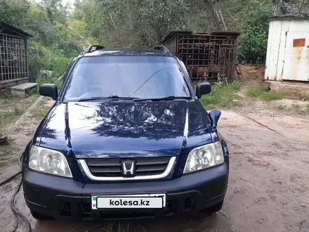 Honda CR-V 1996 года за 3 050 000 тг. в Петропавловск – фото 2