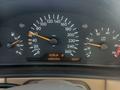 Mercedes-Benz E 280 1999 года за 6 500 000 тг. в Шымкент – фото 22