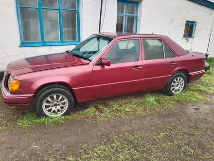 Mercedes-Benz S 300 1991 года за 1 000 000 тг. в Петропавловск