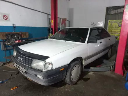 Audi 100 1990 года за 570 000 тг. в Алматы