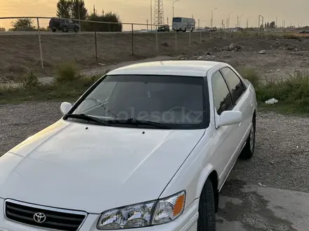 Toyota Camry 2000 года за 4 100 000 тг. в Тараз – фото 5