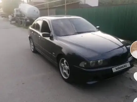 BMW 523 2000 года за 3 300 000 тг. в Алматы – фото 9
