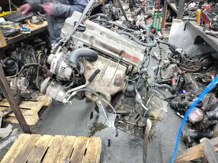 Двигатель на Nissan presage K24 Ниссан приссаж за 270 000 тг. в Алматы – фото 2