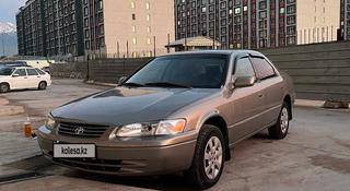 Toyota Camry 1999 года за 3 290 000 тг. в Алматы