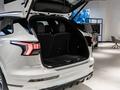 Lynk & Co 09 Ultra 2025 года за 27 990 000 тг. в Алматы – фото 10
