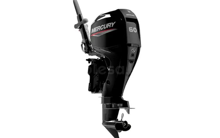 Mercury 60 ELHPT… за 4 710 000 тг. в Алматы