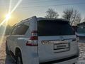 Toyota Land Cruiser Prado 2011 года за 18 800 000 тг. в Павлодар – фото 10