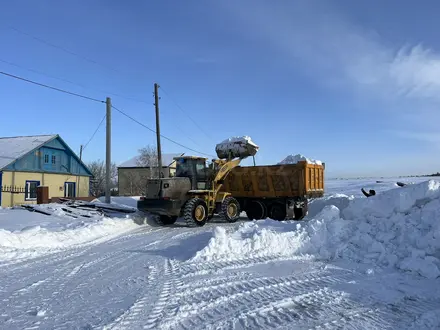 Услуга Погрузчика в Боровое – фото 4