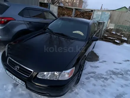 Toyota Camry 2001 года за 5 000 000 тг. в Семей