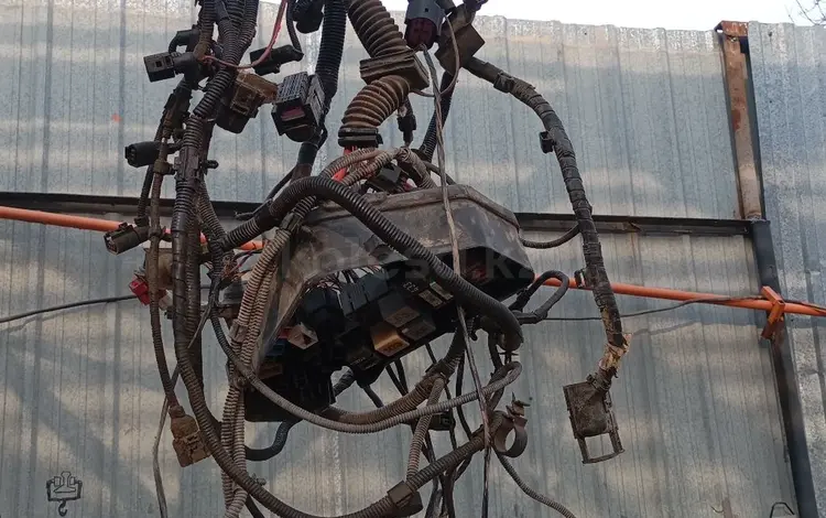 Коса проводка на Фольксваген Туарег за 50 000 тг. в Алматы