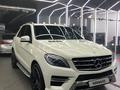 Mercedes-Benz ML 350 2014 годаүшін19 200 000 тг. в Алматы