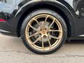 Porsche Cayenne Coupe 2024 года за 120 000 000 тг. в Алматы – фото 25