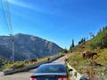 Volkswagen Passat 2006 года за 3 400 000 тг. в Алматы – фото 2