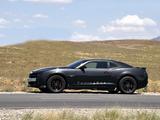 Chevrolet Camaro 2010 года за 10 500 000 тг. в Тараз – фото 3