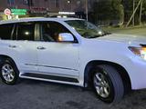 Lexus GX 460 2010 года за 16 200 000 тг. в Шымкент – фото 3