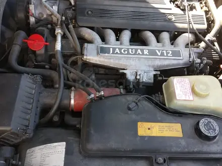 Jaguar XJ 1994 года за 6 000 000 тг. в Алматы – фото 2
