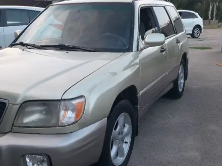 Subaru Forester 2001 года за 3 250 000 тг. в Алматы – фото 2