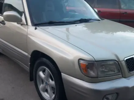 Subaru Forester 2001 года за 3 250 000 тг. в Алматы – фото 20