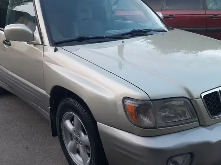 Subaru Forester 2001 года за 3 250 000 тг. в Алматы – фото 21