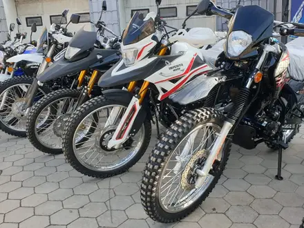  мотоцикл TEKKEN 300 R LINE PRO 2024 года за 1 030 000 тг. в Актобе – фото 88