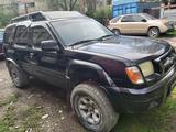 Nissan Xterra 2000 годаүшін1 700 000 тг. в Алматы – фото 2