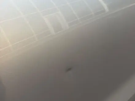 Haval M6 2024 года за 7 000 000 тг. в Караганда – фото 9