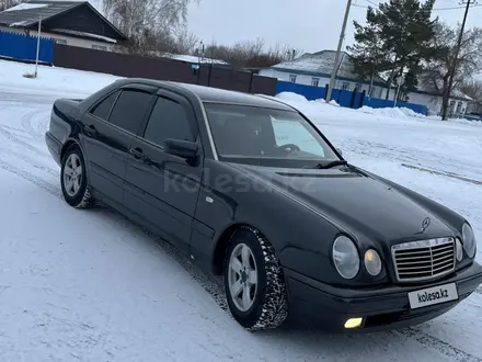 Mercedes-Benz E 200 1996 года за 2 800 000 тг. в Павлодар – фото 6