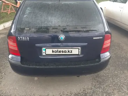 Skoda Octavia 2003 года за 2 650 000 тг. в Кокшетау – фото 13