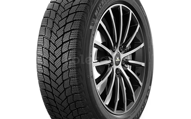 Michelin X-Ice Snow 255/45R20 за 205 000 тг. в Алматы