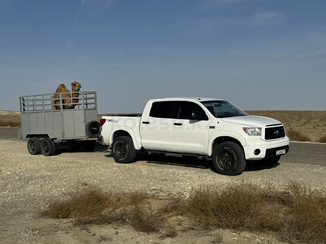 Toyota Tundra, 2011
