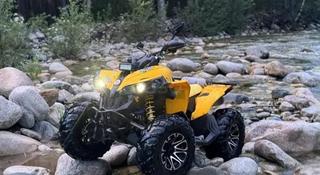 BRP  Can-Am Renegade 800 2009 года за 2 500 000 тг. в Алматы