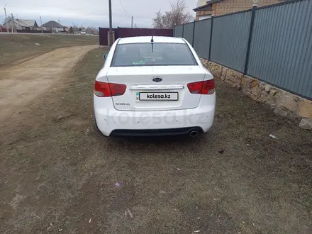 Kia Cerato 2012 года за 5 900 000 тг. в Кокшетау – фото 3