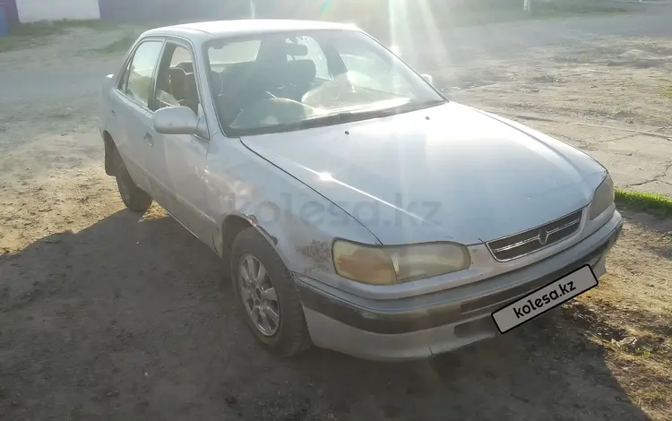 Toyota Corolla 1996 года за 1 500 000 тг. в Усть-Каменогорск