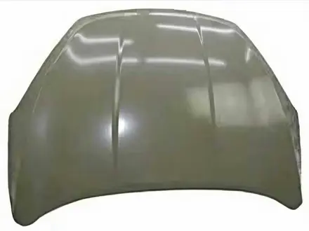Крышка бага за 25 000 тг. в Алматы
