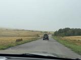 Hummer H3 2006 годаүшін7 800 000 тг. в Караганда – фото 3