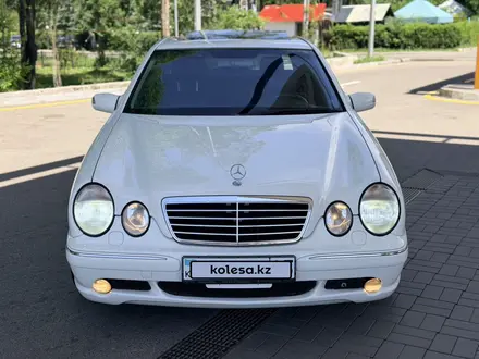 Mercedes-Benz E 55 AMG 2001 года за 10 000 000 тг. в Алматы – фото 3