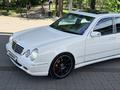 Mercedes-Benz E 55 AMG 2001 года за 10 000 000 тг. в Алматы – фото 5