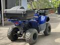 Yamaha  Grizzly 300 2013 года за 3 500 000 тг. в Алматы – фото 6