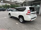 Toyota Land Cruiser Prado 2014 годаүшін18 500 000 тг. в Алматы – фото 5